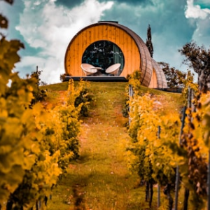 Crafted Riesling
